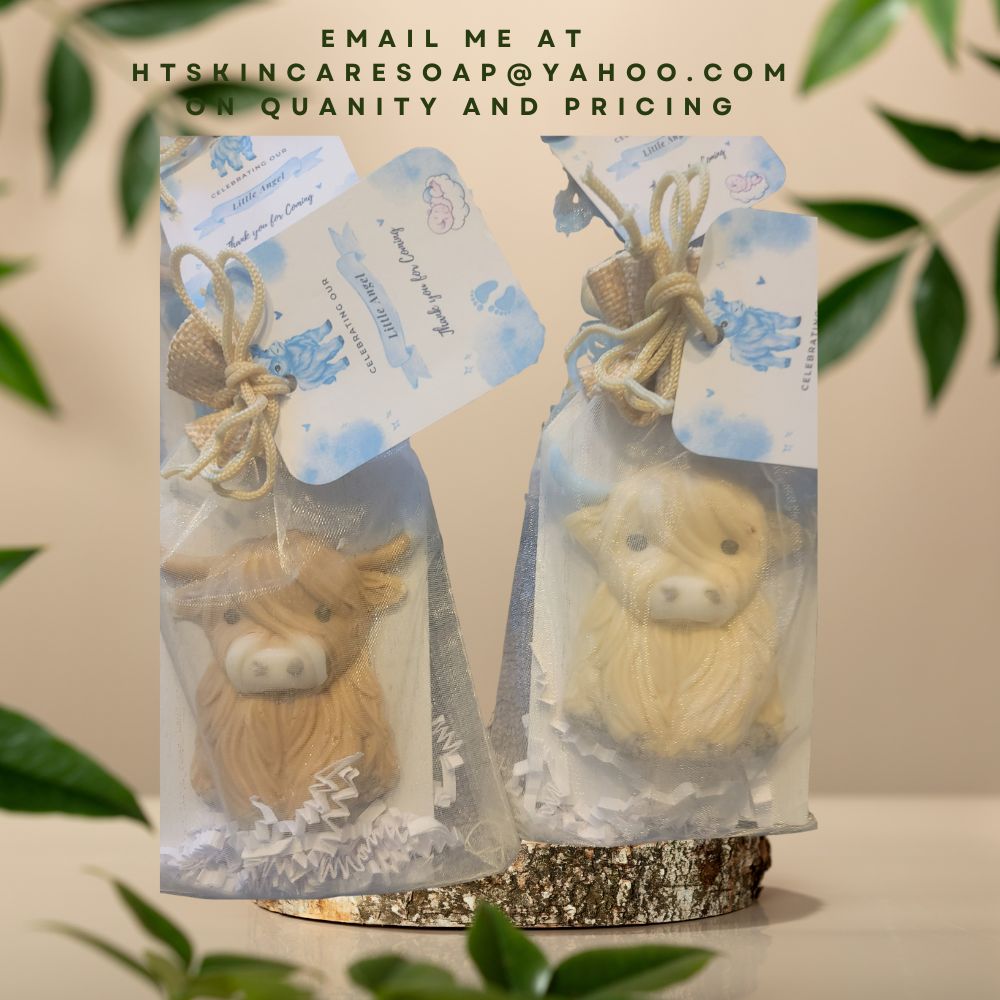 Boy Baby Shower Favors